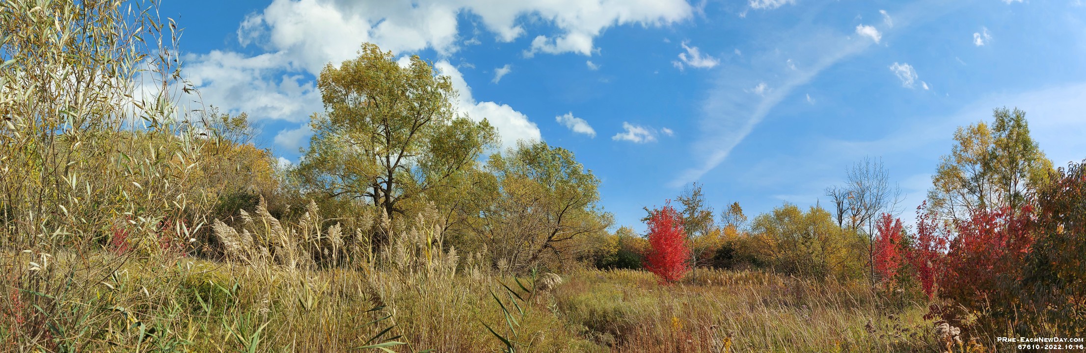 67610PaCr - Walking the Ajax trails with Beth - Milo